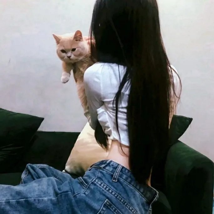 福斯特对话尼克松