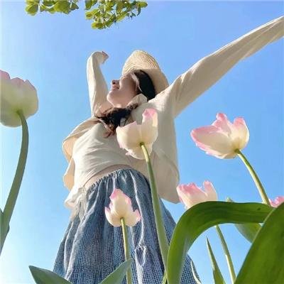 格罗斯波因特园艺社群