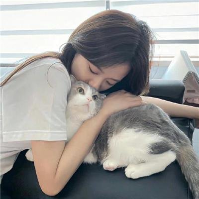 间谍过家家第二季